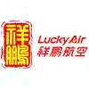 Lucky Air