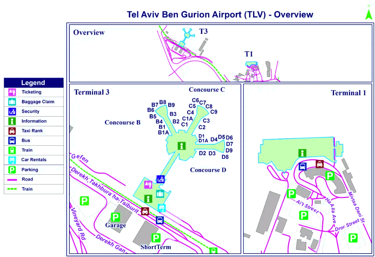 Ben Gurion internationella flygplats